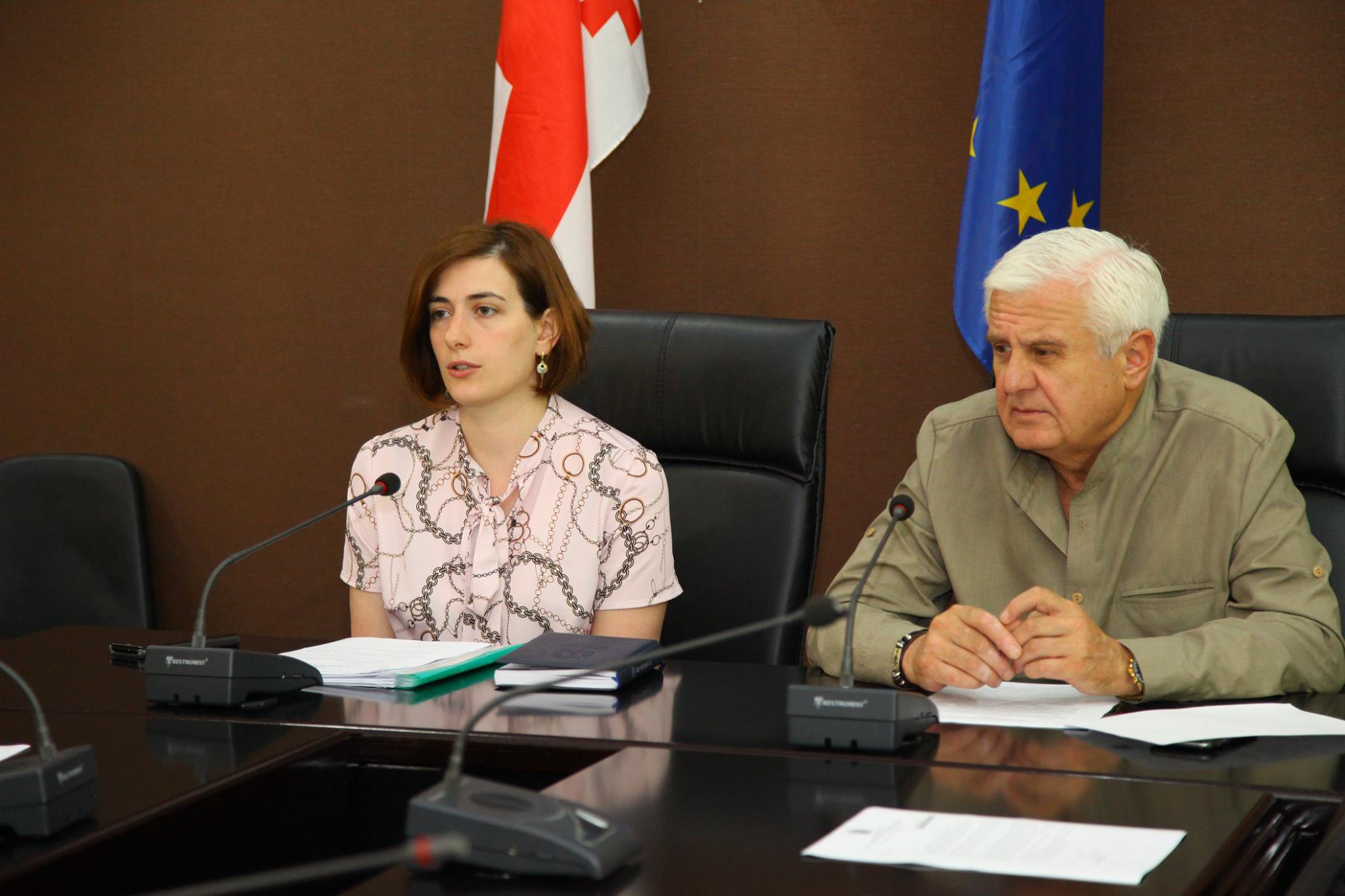 Kutaisi City Hall hosted a meeting of the Council for the Protection of Persons with Disabilities