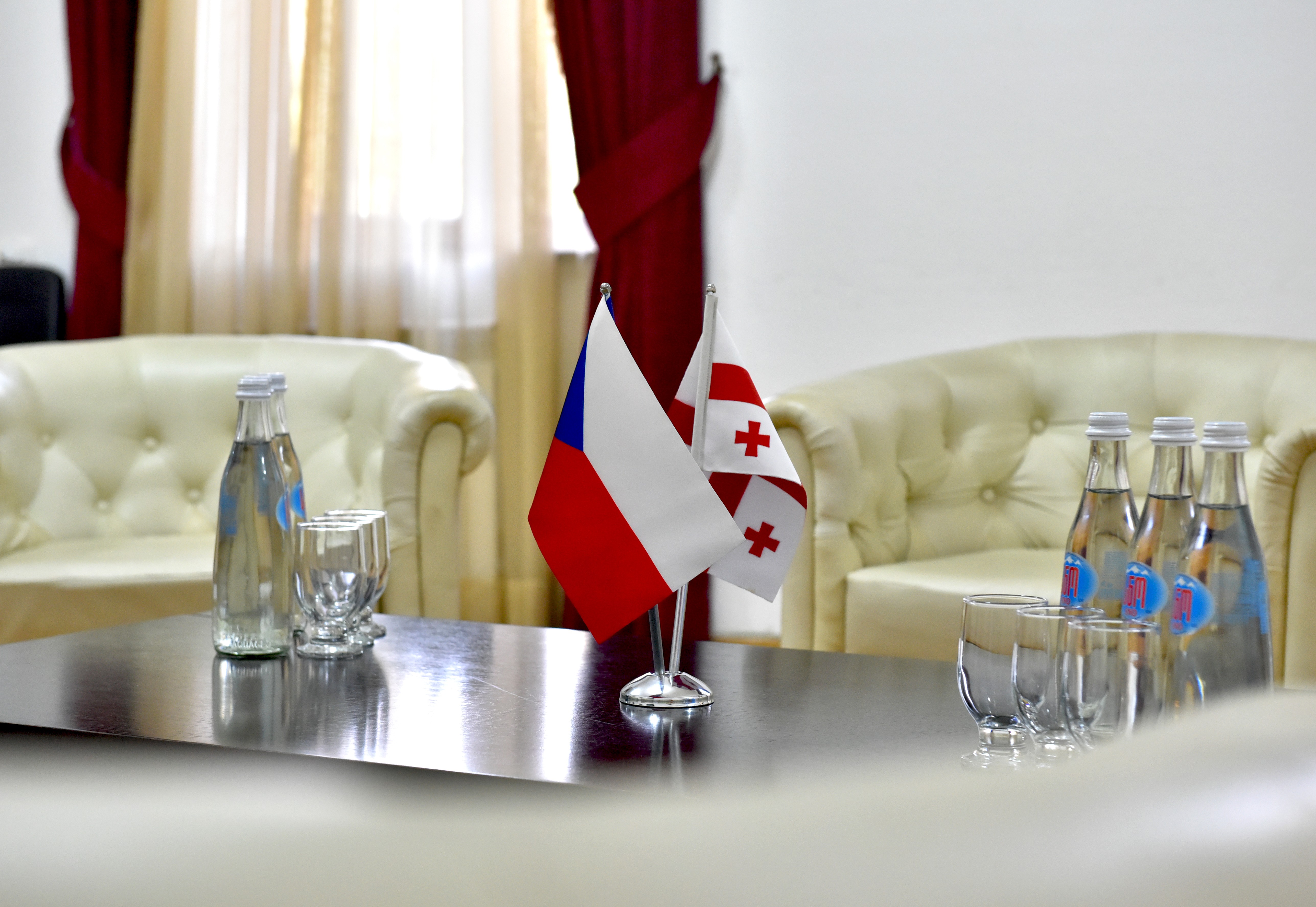 A meeting with the official delegation of the Czech Republic was held in Kutaisi City Municipality