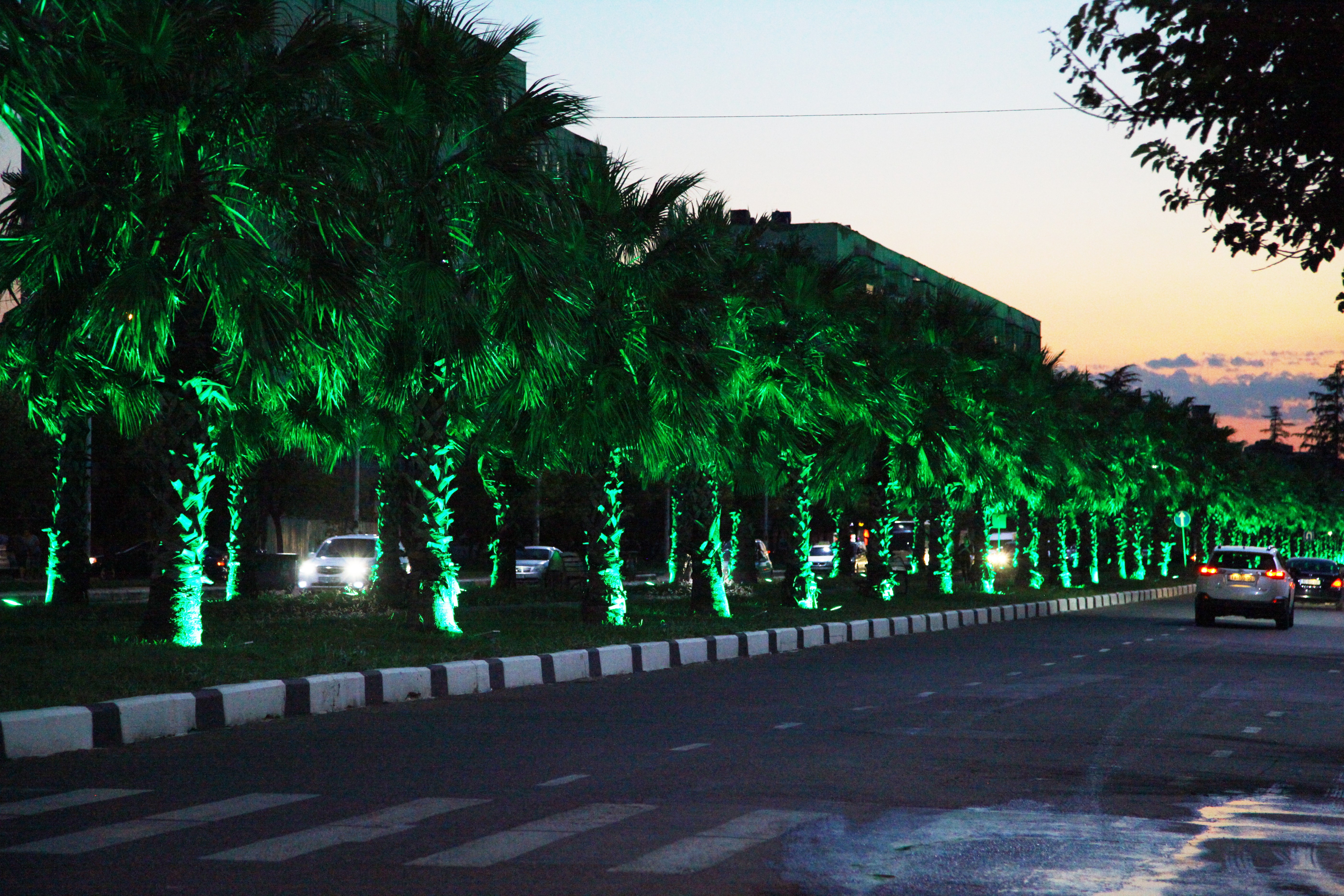 The lane of Palm Trees on Agmashenebli Avenue was lit with new lights