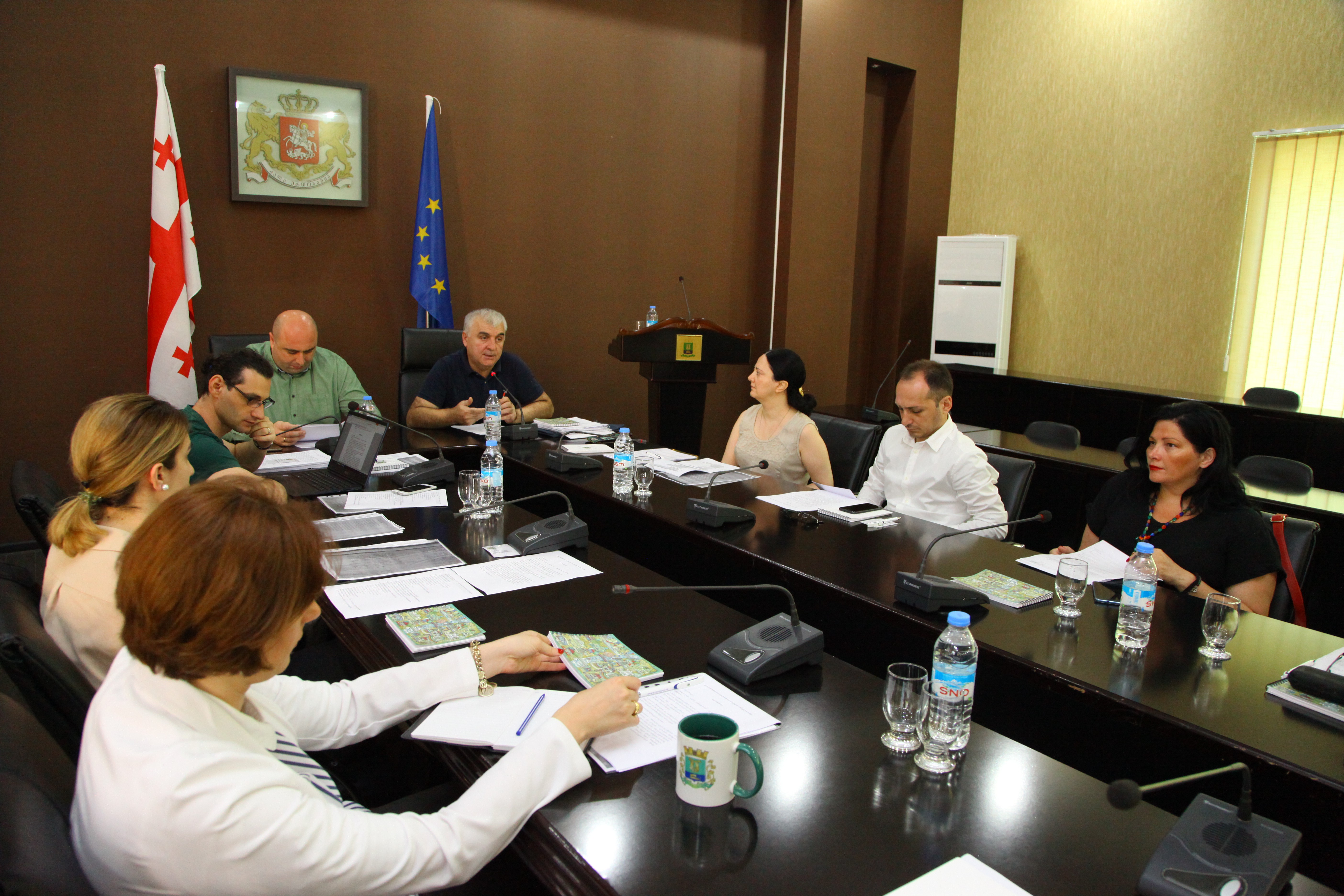 Kutaisi Mayor's Advisory Board Discusses Quotes on White Bridge